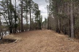 Tbd Hidden River Rd. photo 4