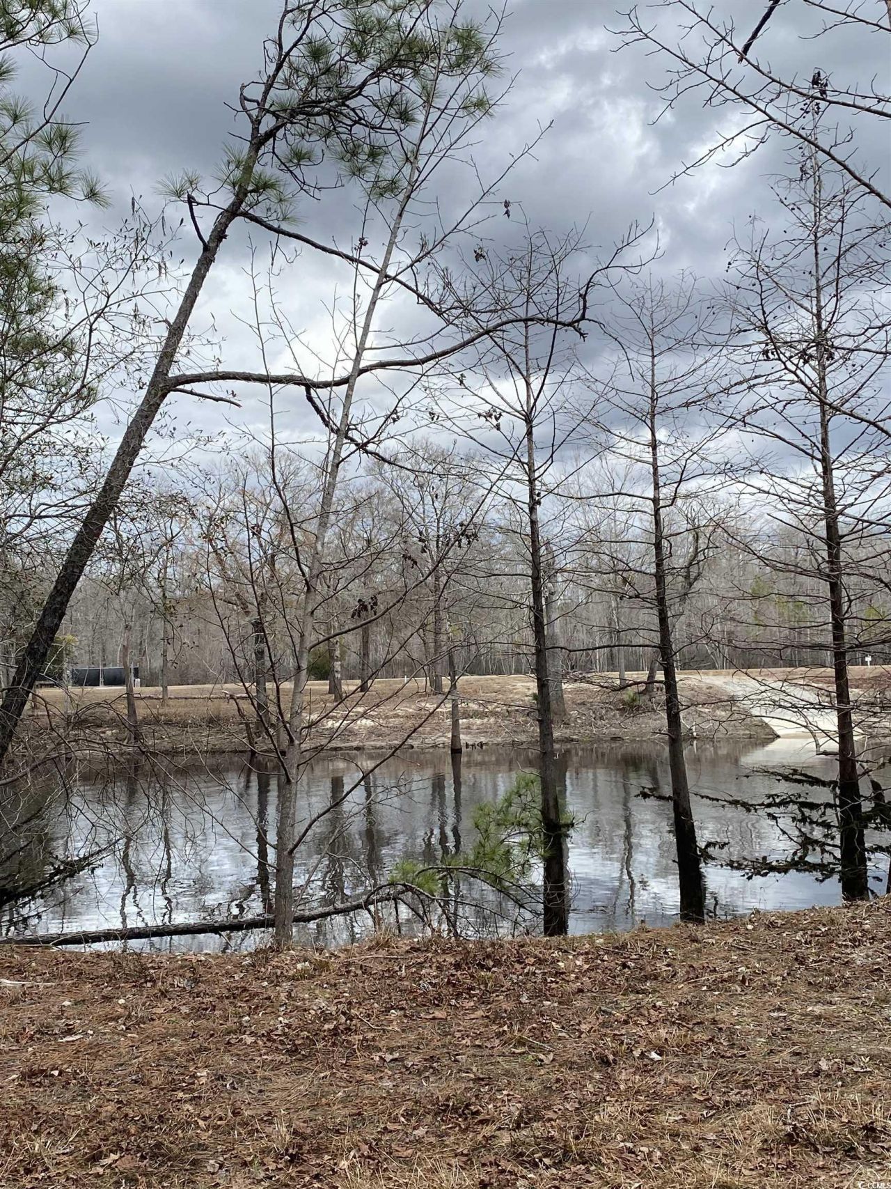 Tbd Hidden River Rd. Photo 6