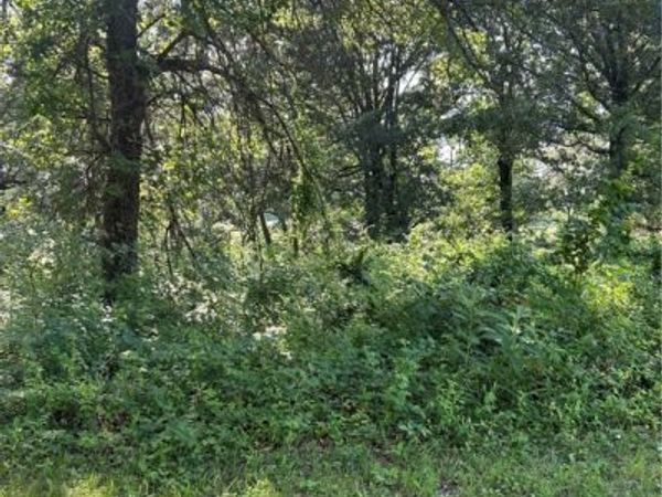 4019 Savannah Drive, Harrison, AR 72601