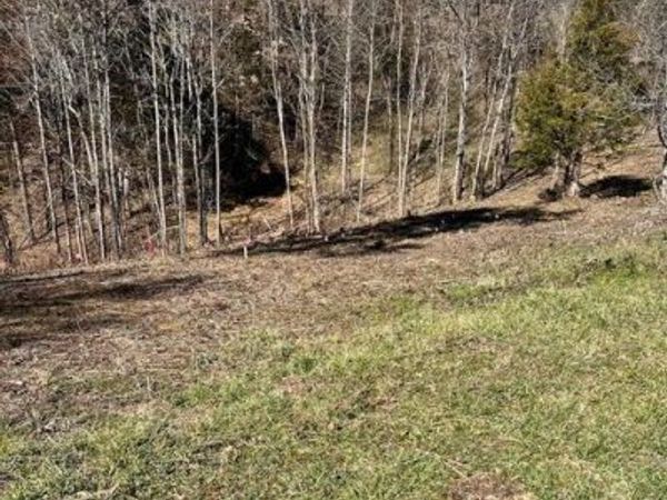 Lot 1 A 2009 Scott Street, Sevierville, TN 37876