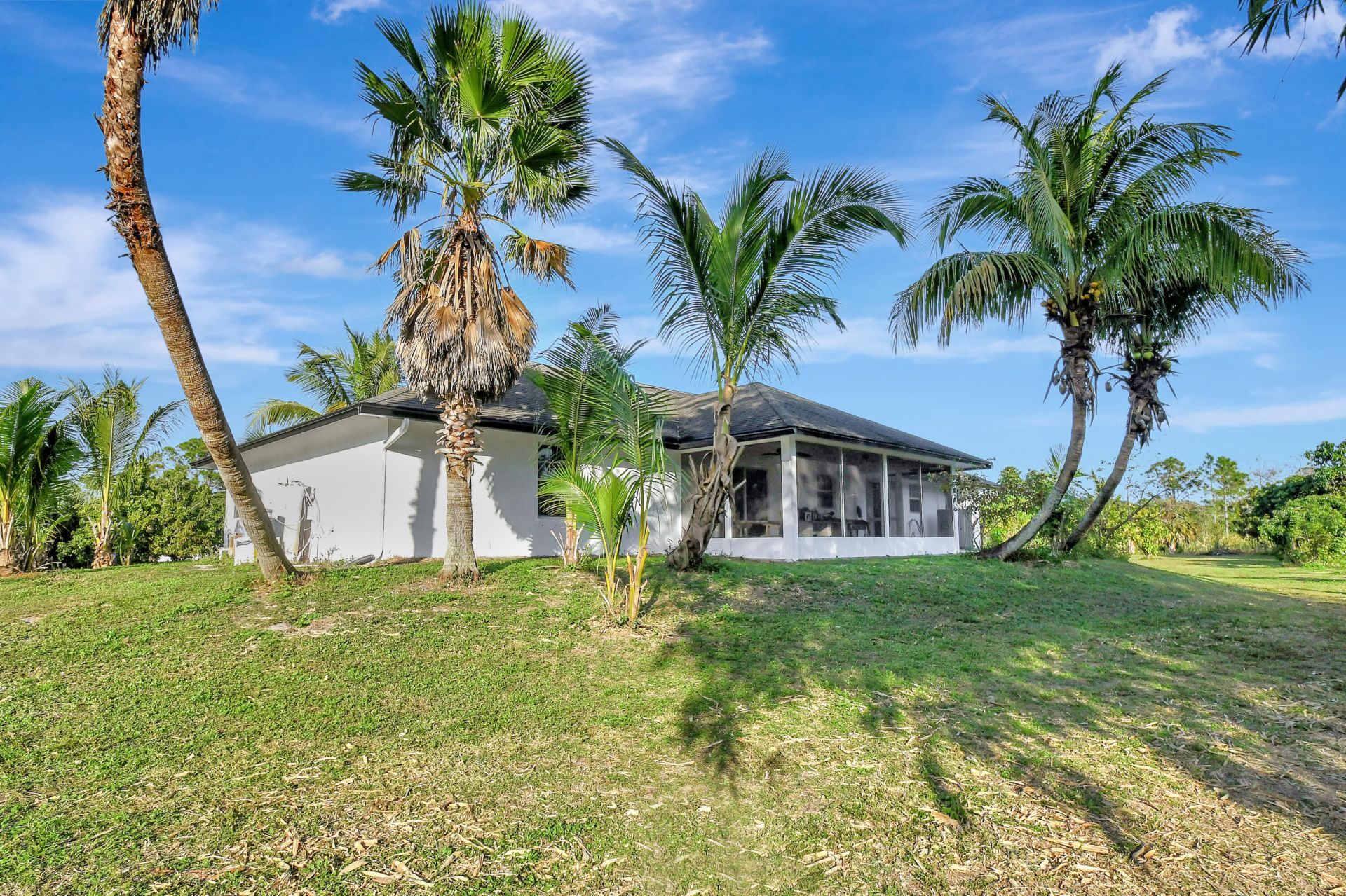 3446 Cabbage Palm Way, Loxahatchee, FL 33470 Photo