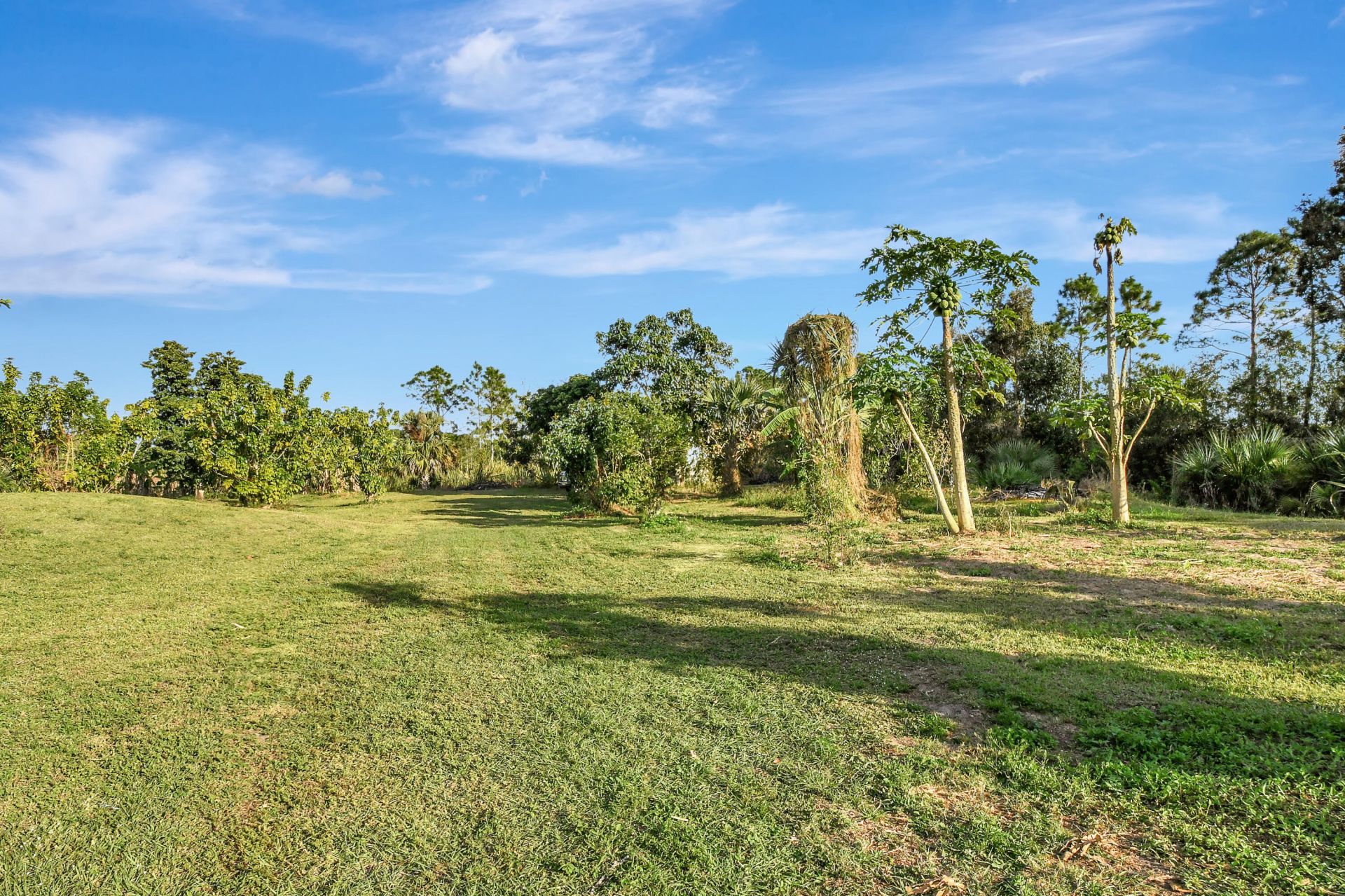 3446 Cabbage Palm Way, Loxahatchee, FL 33470 Photo