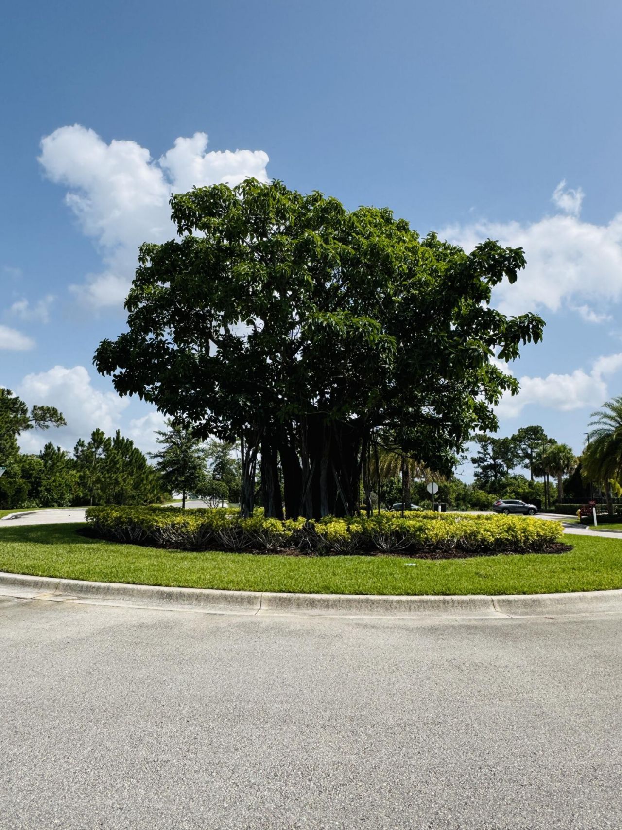 163 SW Pomeroy Street, Stuart, FL 34997 Photo
