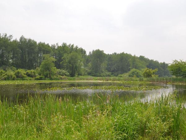 4500 S 42nd Street, Climax, MI 49034