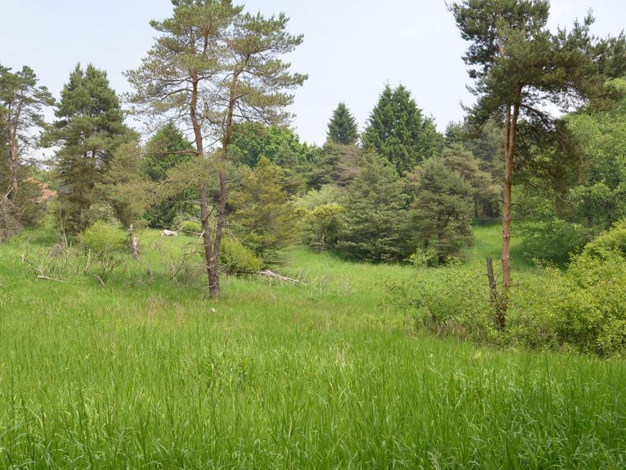 Property Image 30