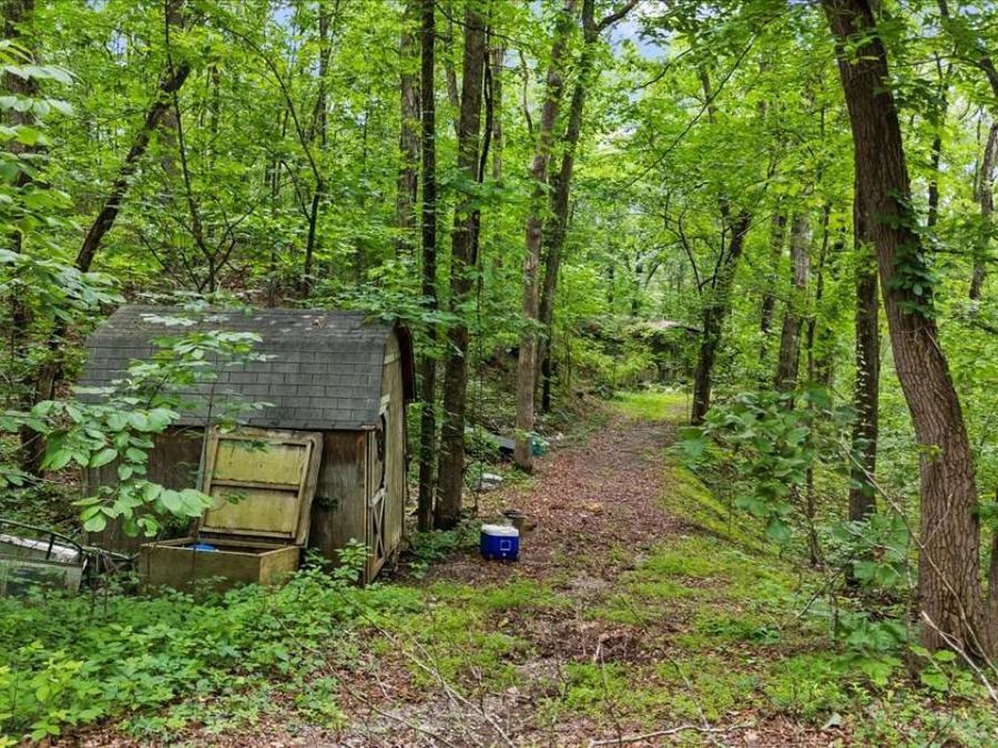 Property Image 11