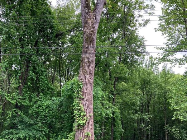 30 Luty Drive, Hyde Park, NY 00000