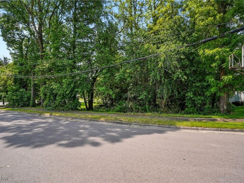 1500 Home Avenue, Akron, OH 44310 Photo 1