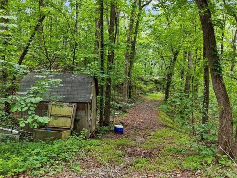 Property Image 12