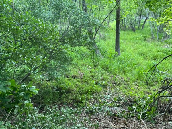 Lot 77 North Church DR, Hardy, VA 24101