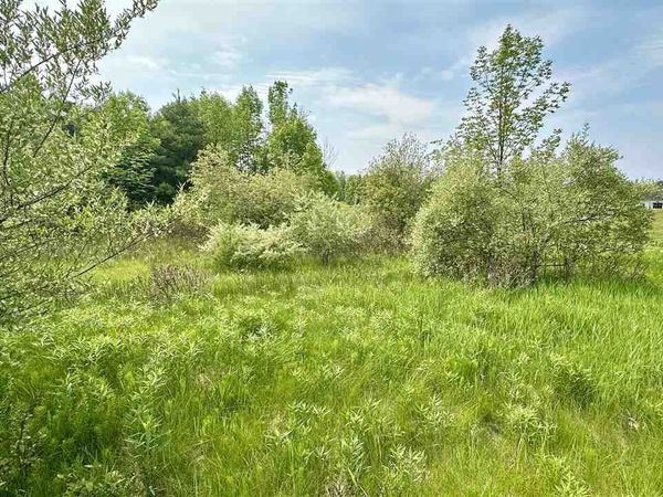 Lot 59 Country Club Drive, Unit 59, Charlevoix, MI 49720