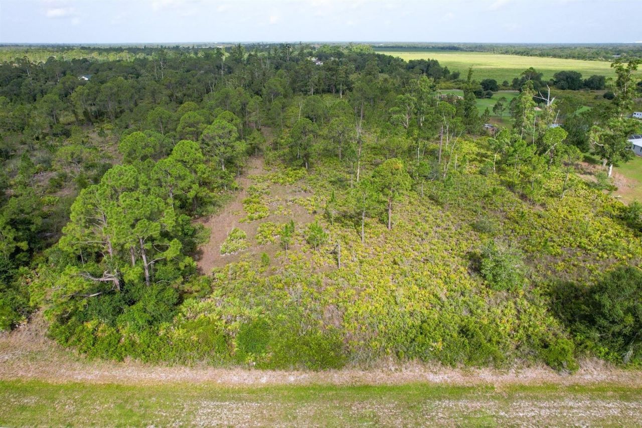 7001 Cypress Grove Circle, Punta Gorda, FL 33982 Photo