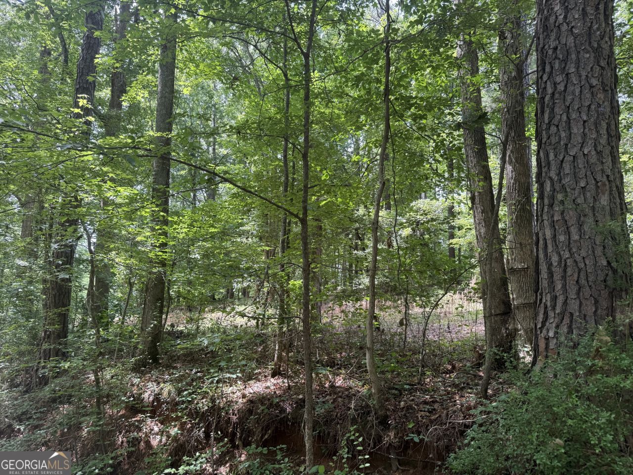 0 Turner Road, Hampton, GA 30228 Main Photo