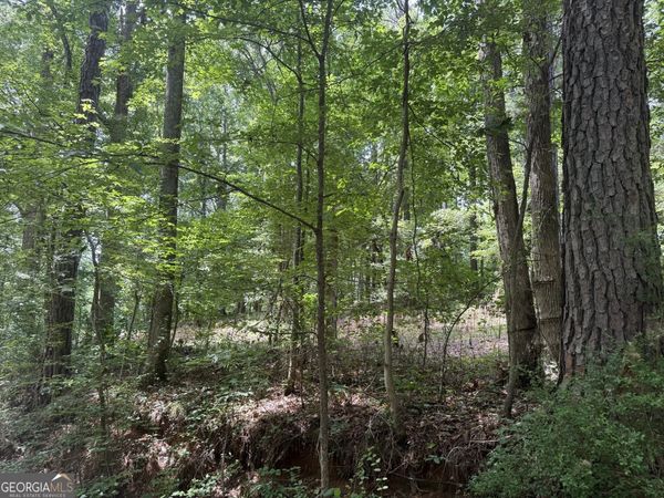 0 Turner Road, Hampton, GA 30228