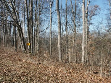 Lot 32 Laurelwood, Nancy, KY 42544