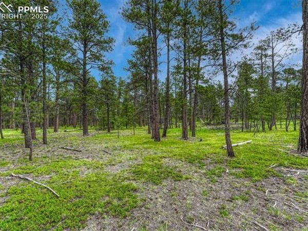 000 Wyandott Drive, Colorado Springs, CO 80908