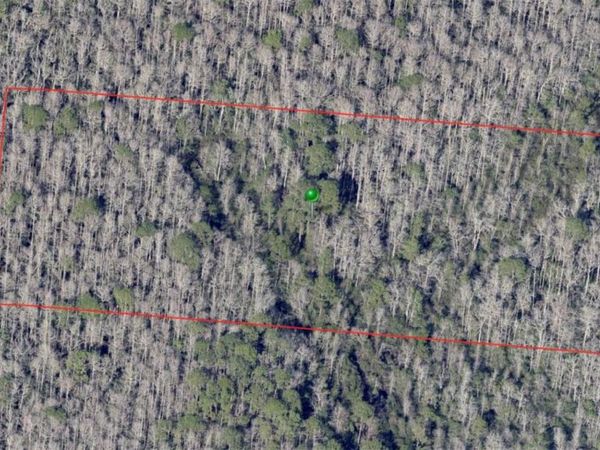 NO STREET, DE LEON SPRINGS, FL 32130