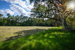 0 Tuten Road photo 4