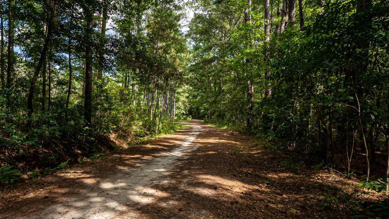 0 Tuten Road Photo 21