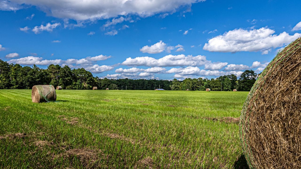 0 Tuten Road Photo 27