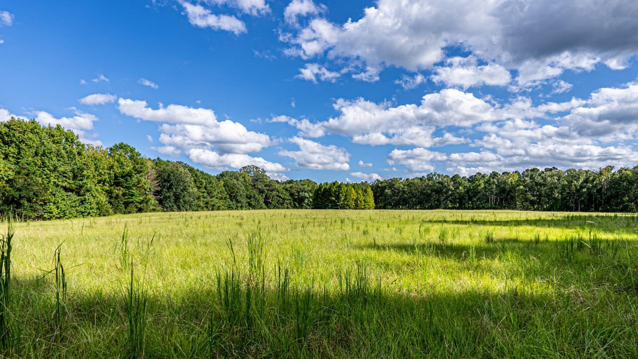 0 Tuten Road Photo 30