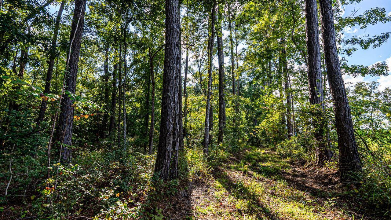 0 Tuten Road Photo 33