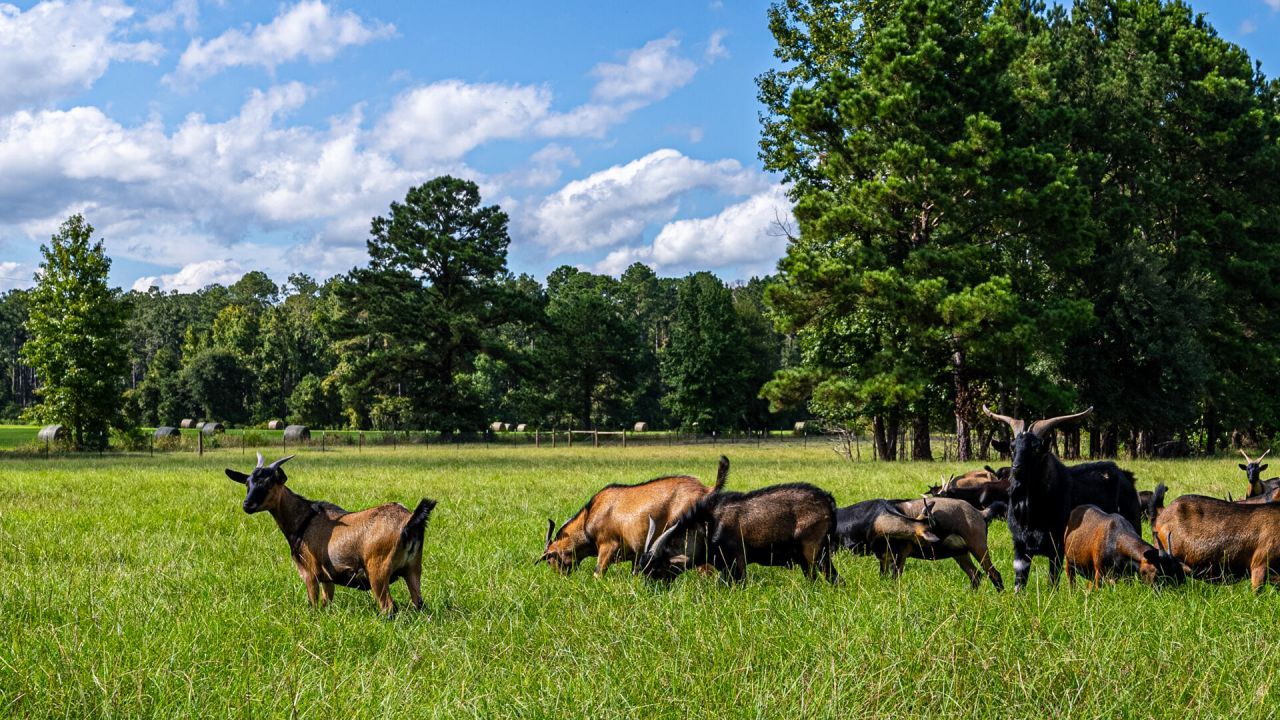 0 Tuten Road Photo 7