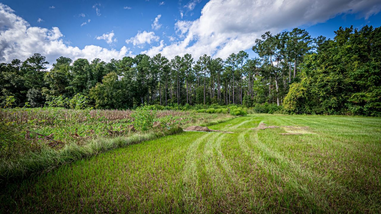 0 Tuten Road Photo 9