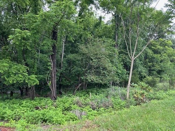 Lot 3 Hales Ford RD, Moneta, VA 24121
