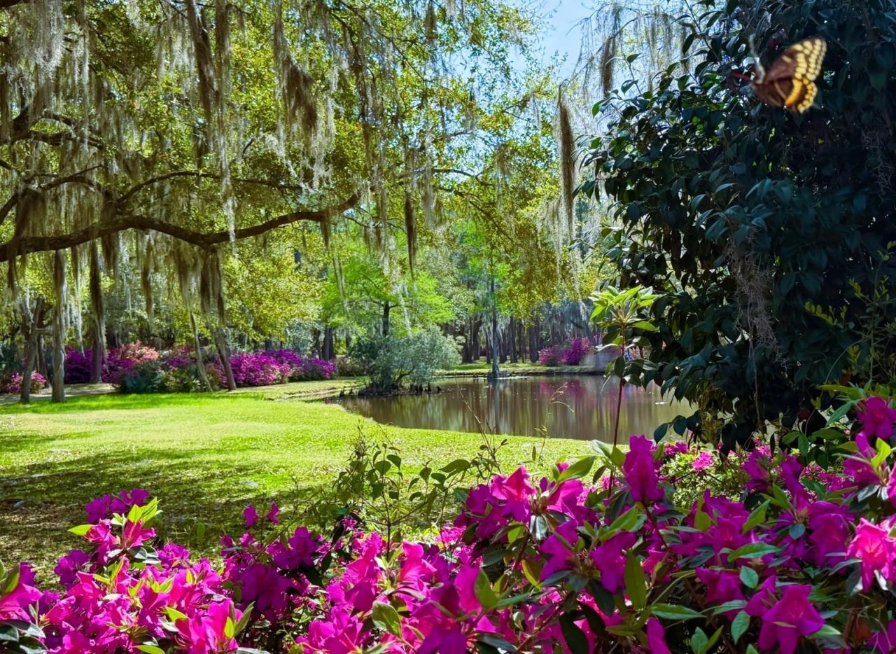 951 Herriott Farms Dr. Photo 31