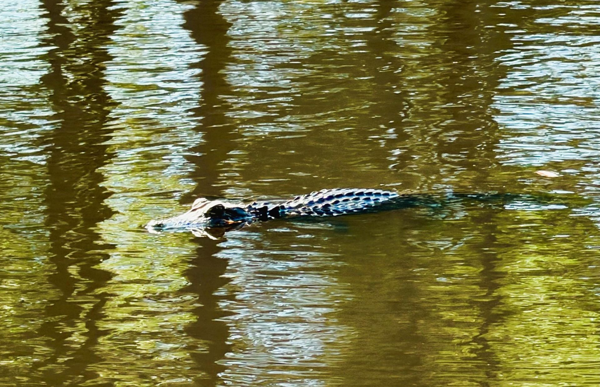 951 Herriott Farms Dr. Photo 32