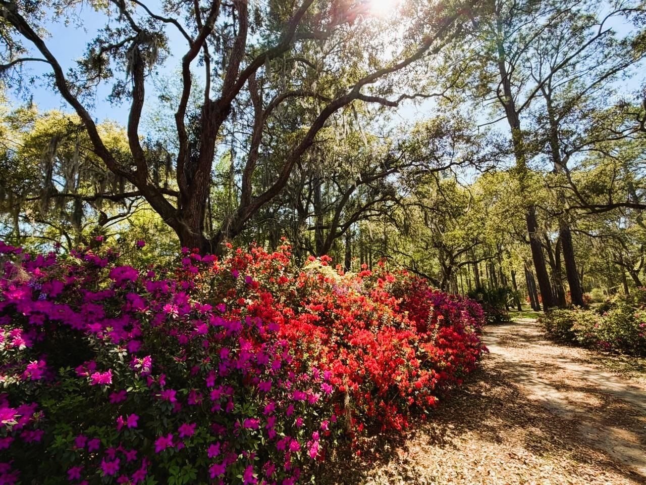 951 Herriott Farms Dr. Photo 33