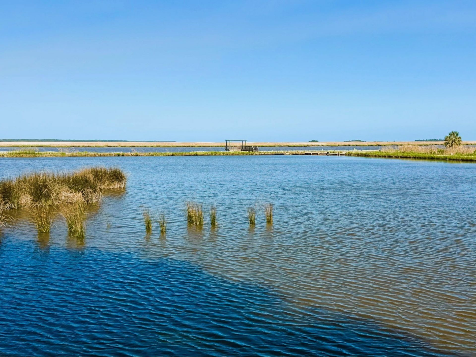 951 Herriott Farms Dr. Photo 35