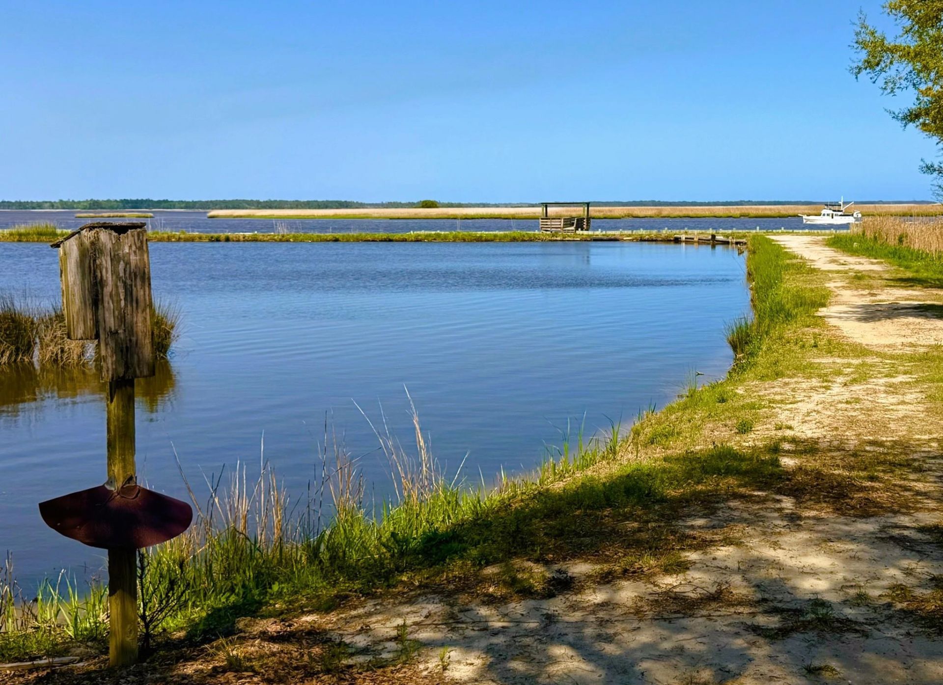 951 Herriott Farms Dr. Photo 41