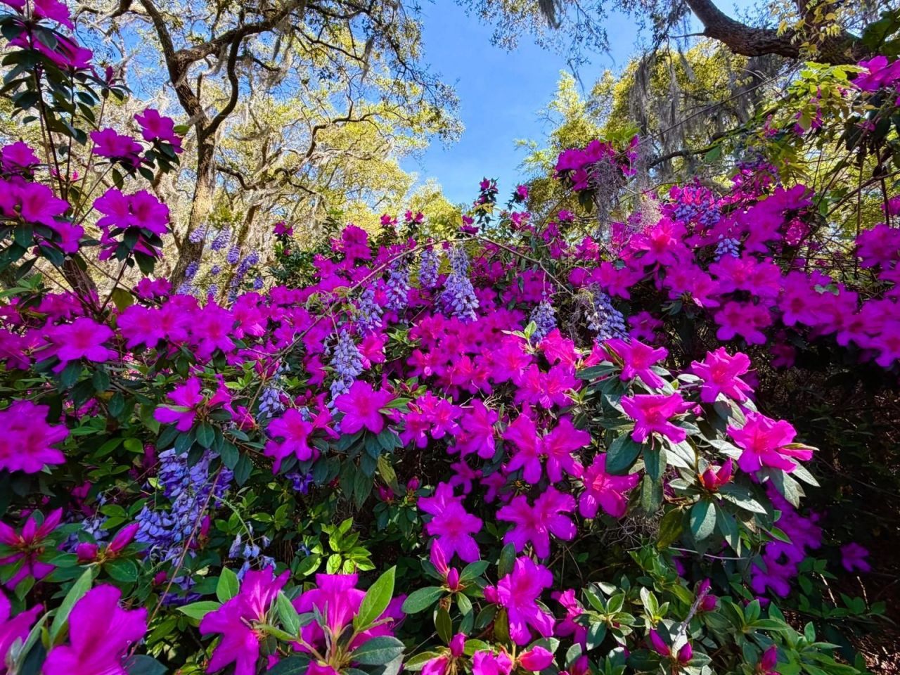 951 Herriott Farms Dr. Photo 42