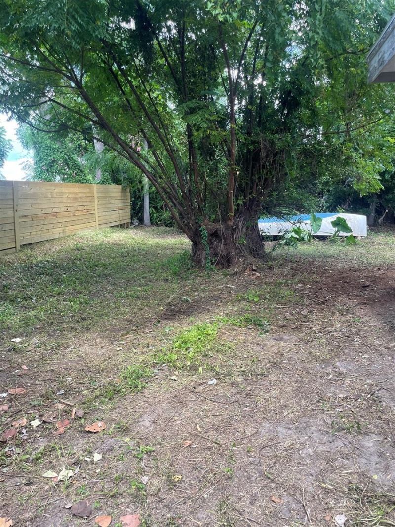 2445 Webber Street, Sarasota, FL 34239 Photo