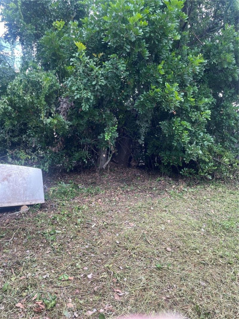 2445 Webber Street, Sarasota, FL 34239 Photo