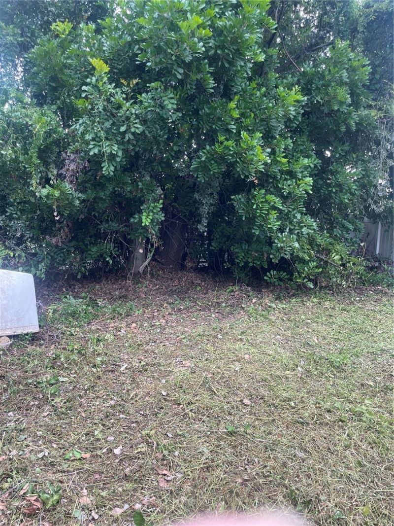 2445 Webber Street, Sarasota, FL 34239 Photo