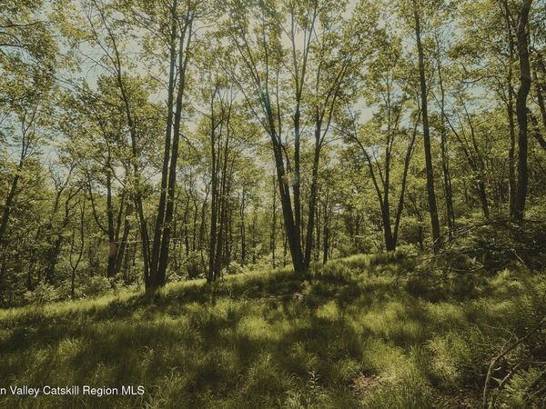 0 Benton Hollow Road, Liberty, NY 12754