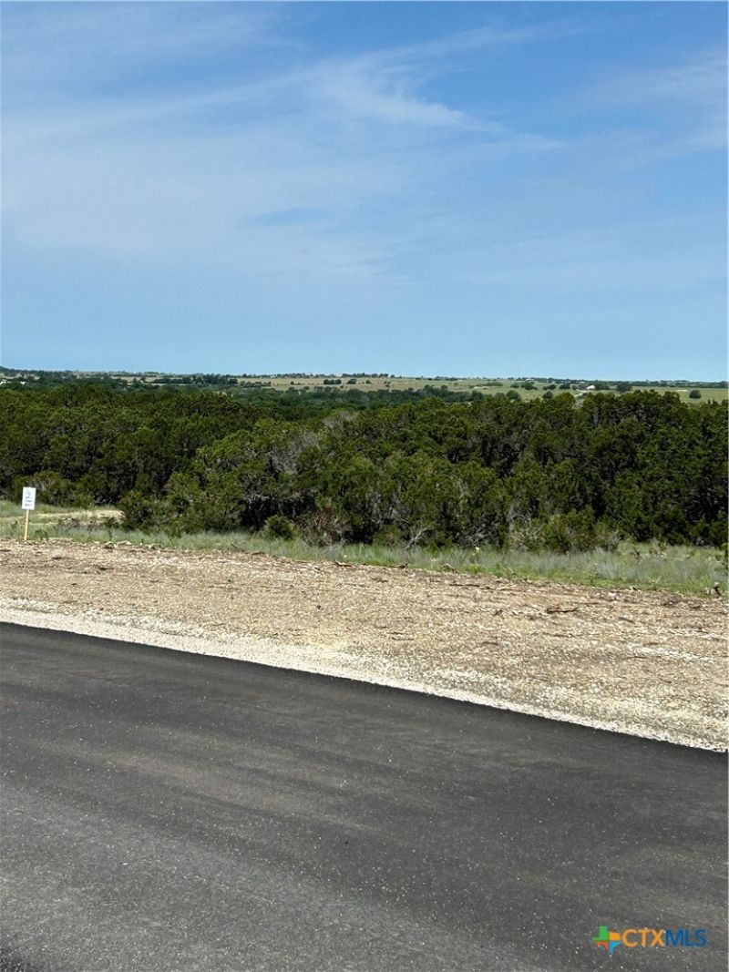 117 Cedar Bluff Loop, Gatesville, TX 76528 Main Photo