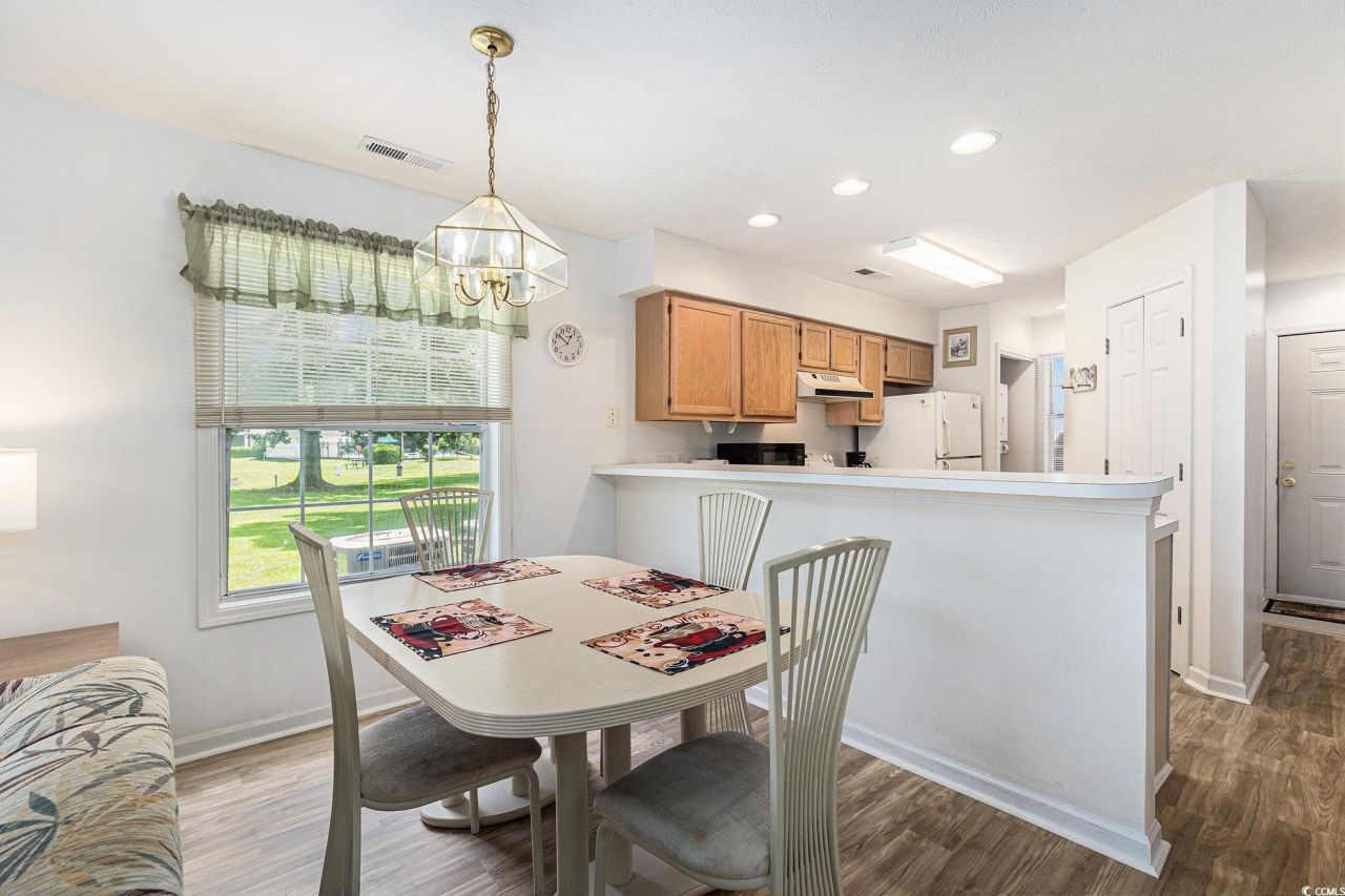 537 White River Dr. Photo 7