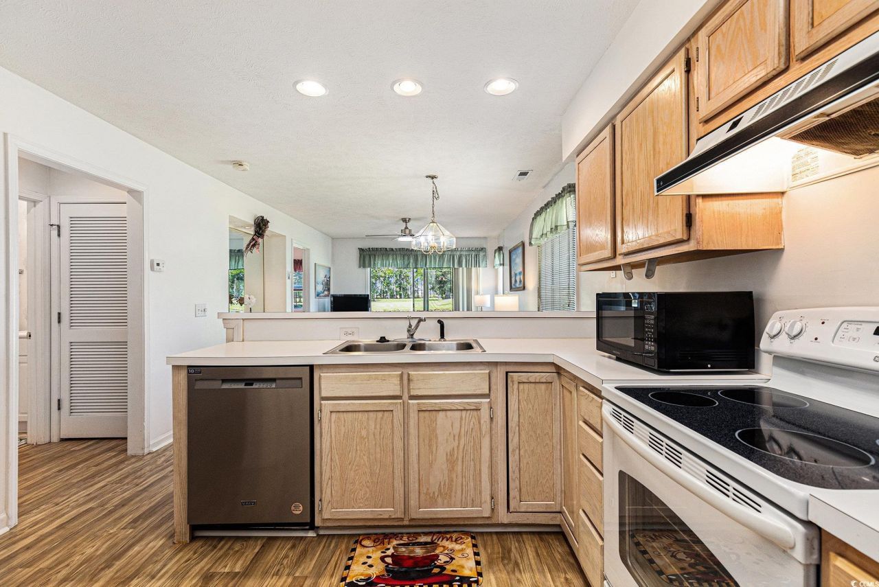 537 White River Dr. Photo 8