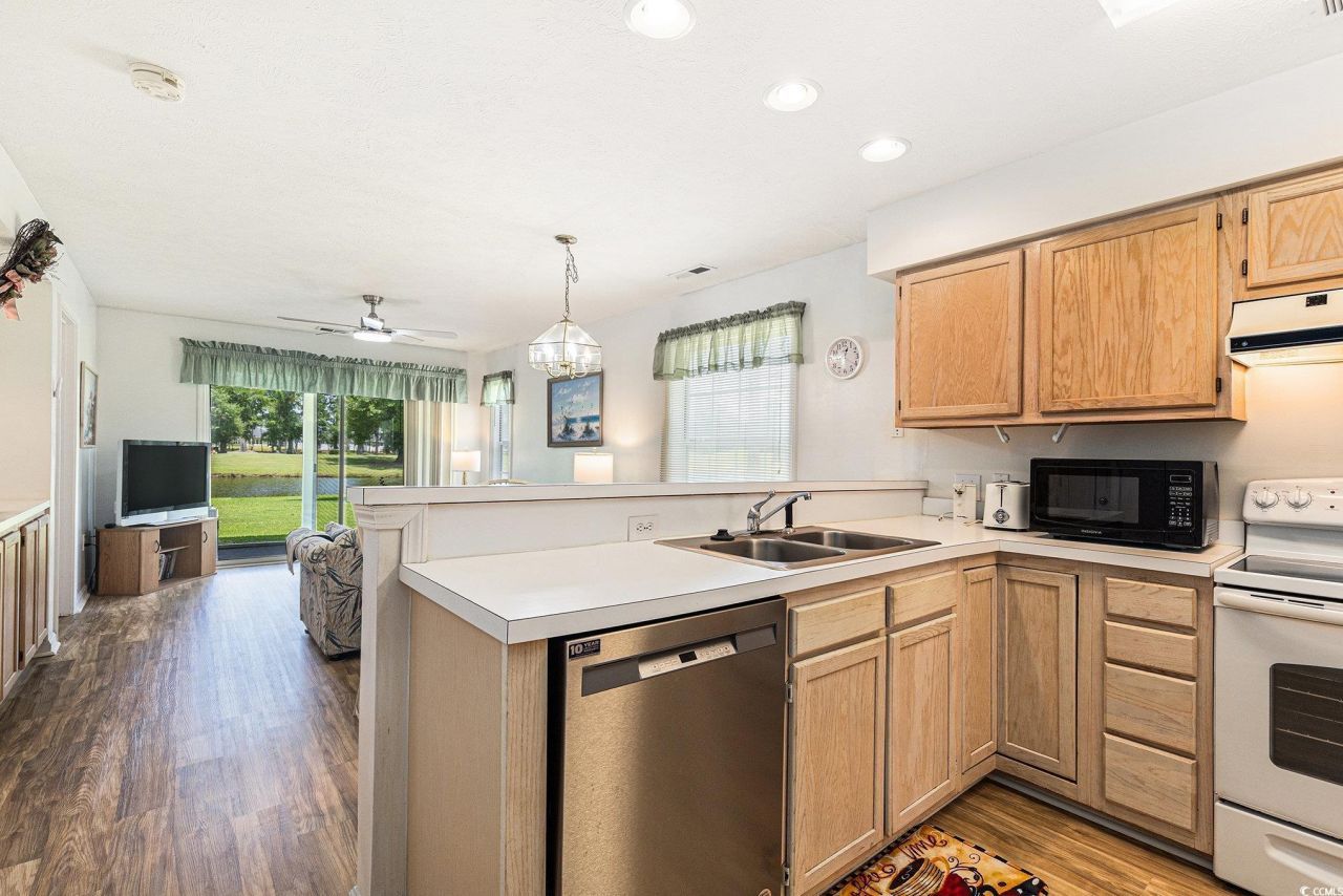 537 White River Dr. Photo 9