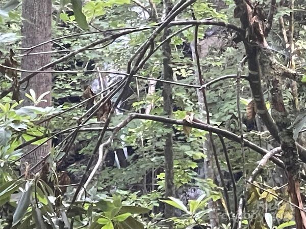 2600 Canada Road, Tuckasegee, NC 28783