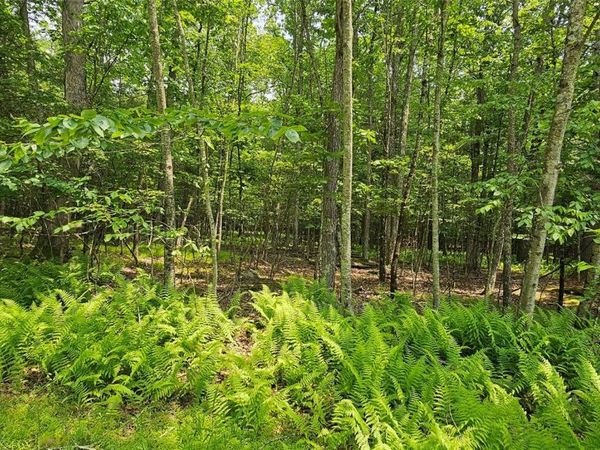 Lot 3 Woods Road, Barryville, NY 12719