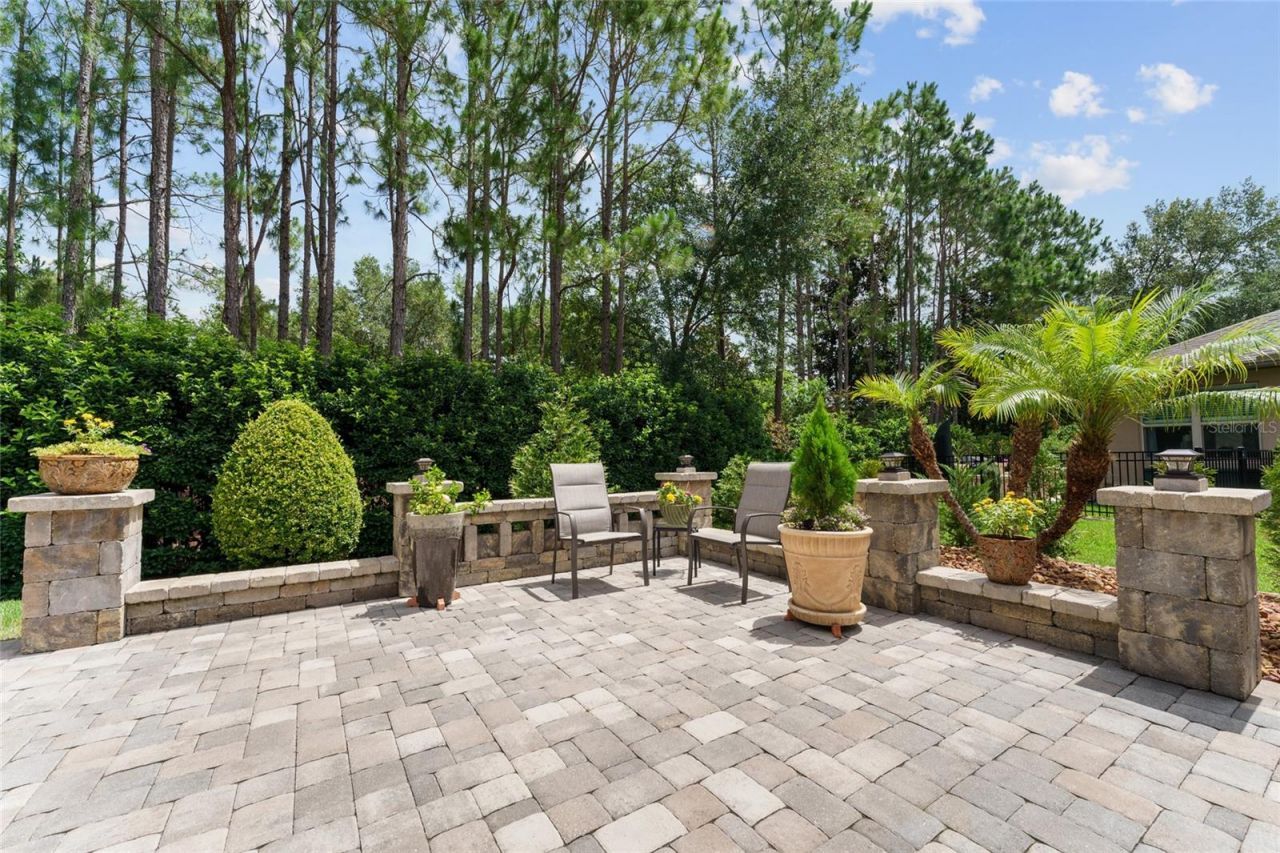 9158 SW 65th Loop, Ocala, FL 34481 Photo