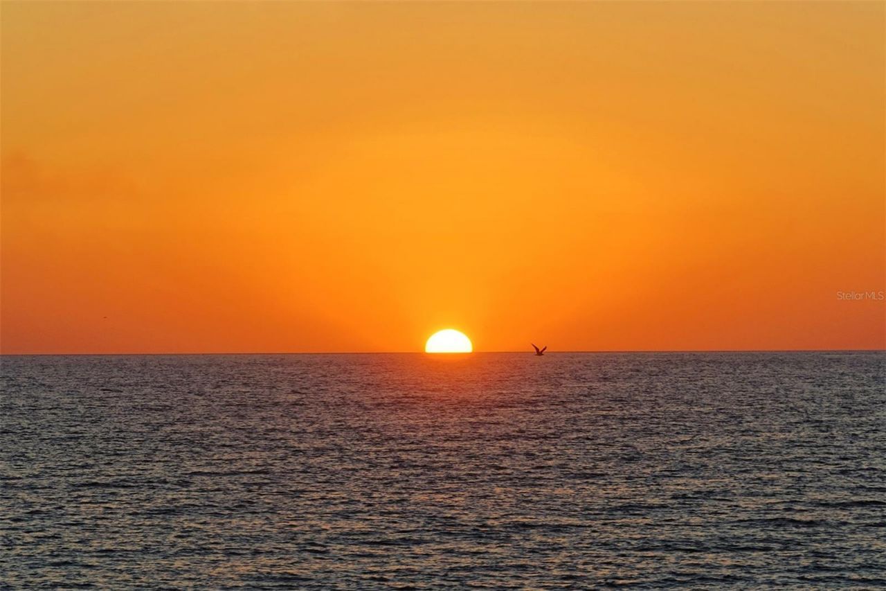 1 Benjamin Franklin Drive, Unit 91, Sarasota, FL 34236 Photo