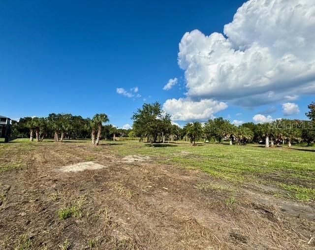 107 Tillett Place, Terra Ceia, FL 34250 Photo