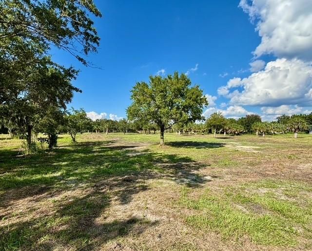 107 Tillett Place, Terra Ceia, FL 34250 Photo