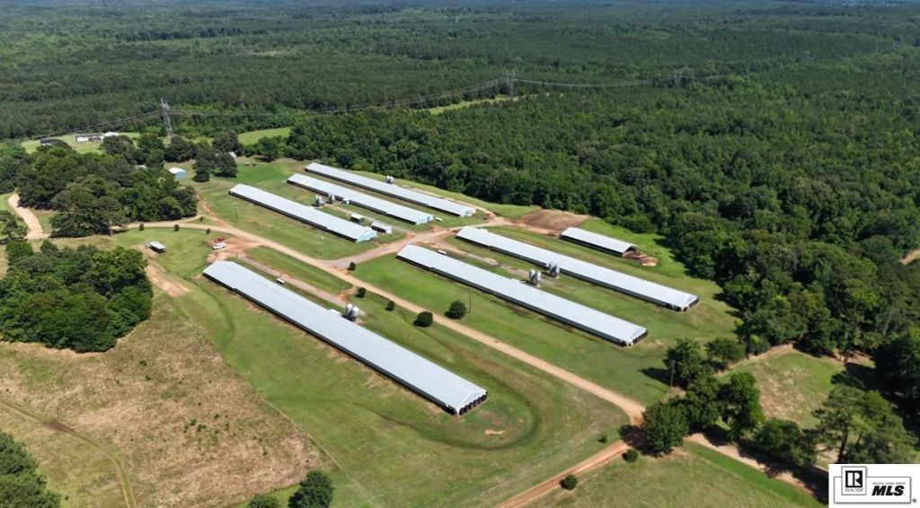 999 Double Bridge Road, Dubach, LA 71235 Main Photo